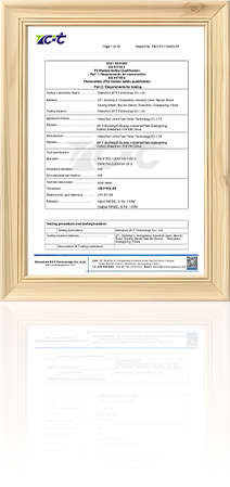 IEC 61730 Test Report